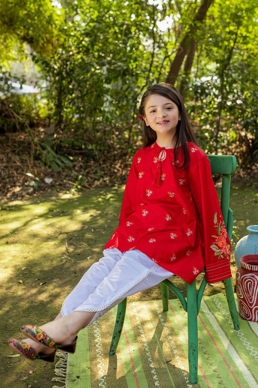 Bareeze Girls Fully Embroidered  Lawn 2Pc- SB1736