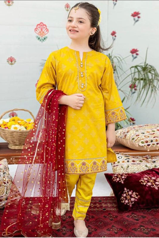 Bareeze Girls Fully Embroidered  Lawn 2Pc- SB1651