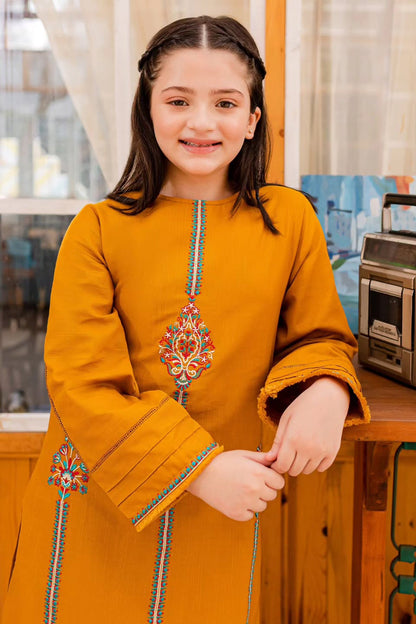 Bareeze Girls Fully Embroidered Lawn 2Pc- SB2228
