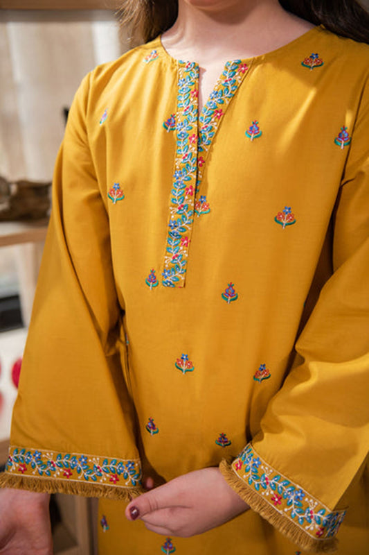 Bareeze Girls Fully Embroidered Lawn 2Pc- SB11