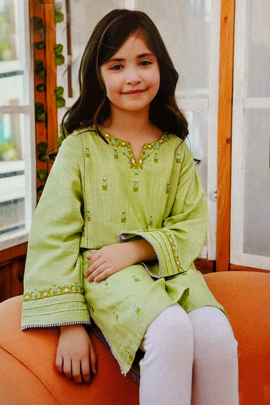 Bareeze Girls Fully Embroidered Lawn 2Pc- SB2233