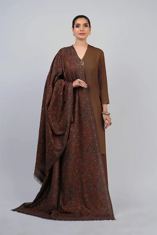 Bareeze 3PC Dhanak Suit with Heavy Embroidered Shawal - SB2063